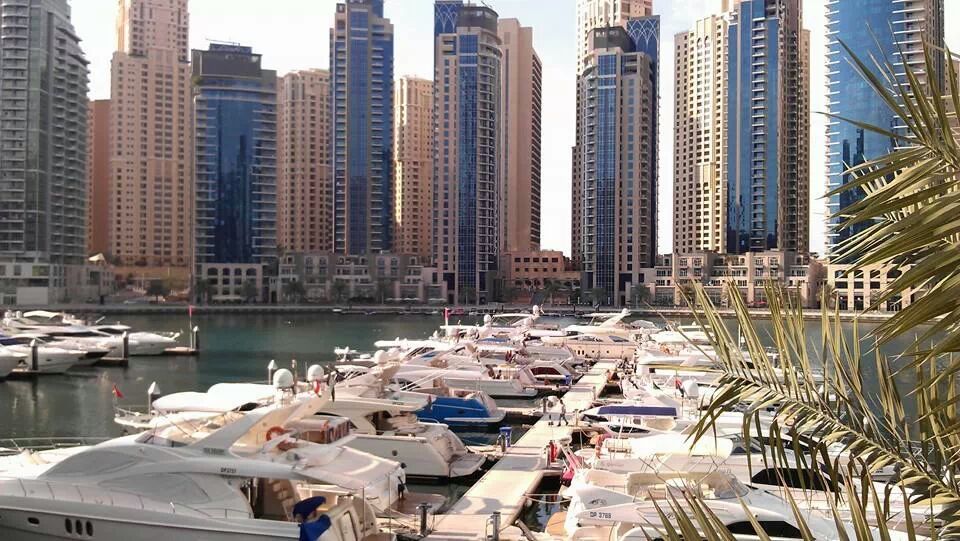 wp-1392270182830 image